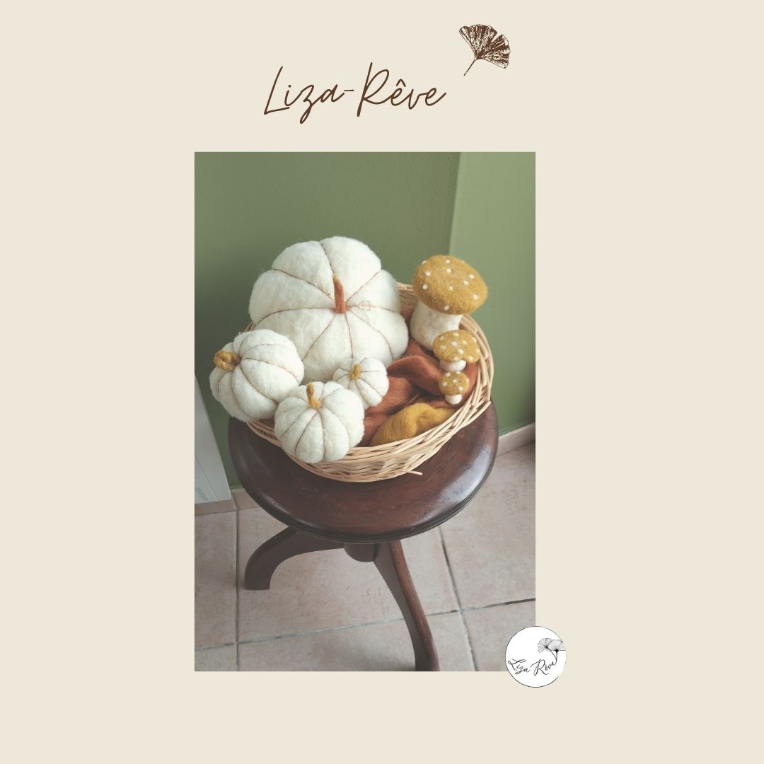 "Les champignons Rigolos"