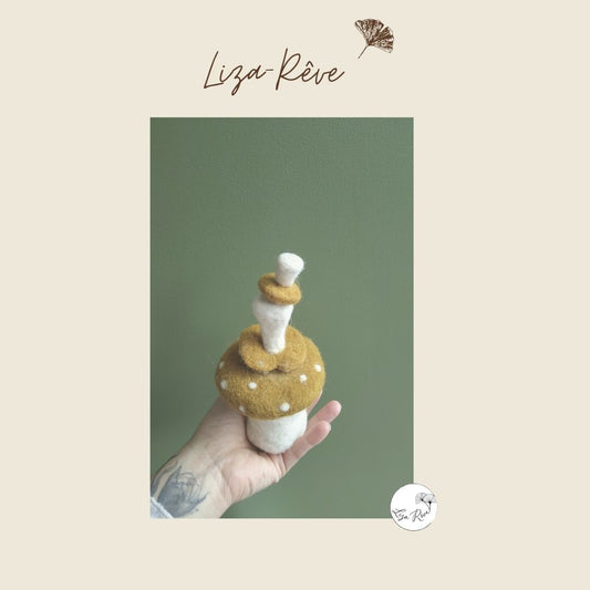 "Les champignons Rigolos"